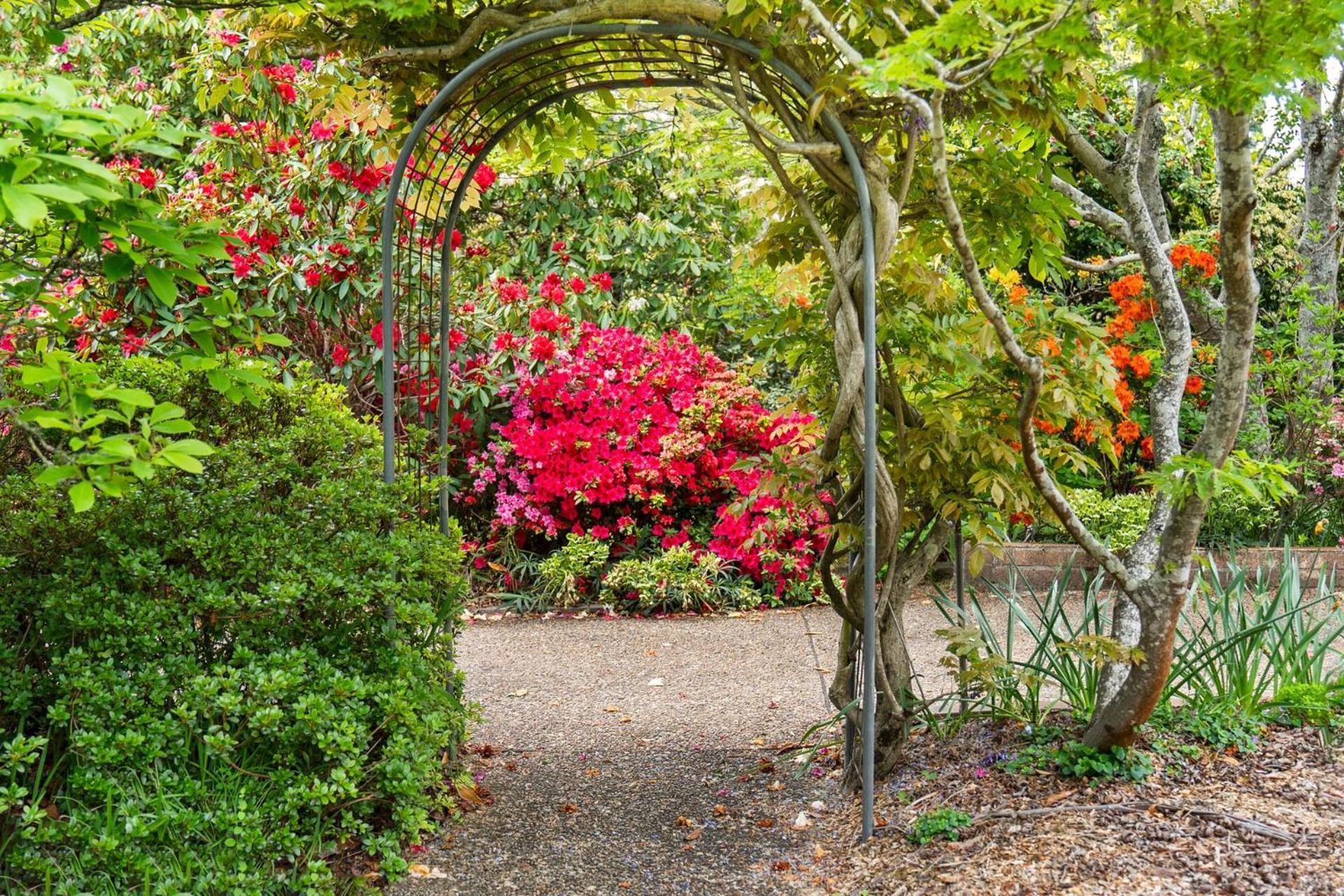 Villa Lynwood Gardens Blackheath Exterior foto